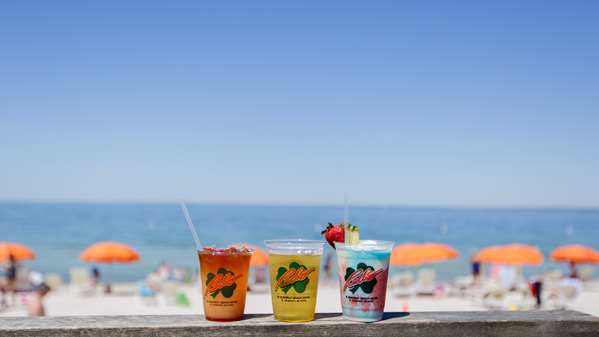 Beach - Sea Crest Beach Hotel North Falmouth