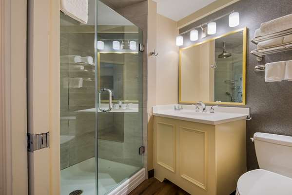  - Best Western Syracuse Downtown Hotel & Suites - I-81, Exit 20