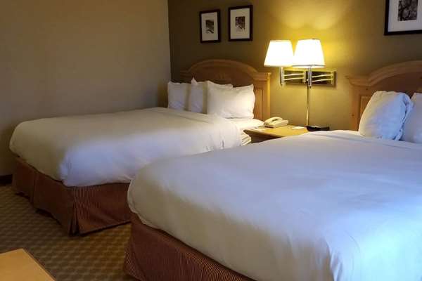 2 Queen Beds, Deluxe Mobility Accessible Room, Roll-In shower, Non-Smoking