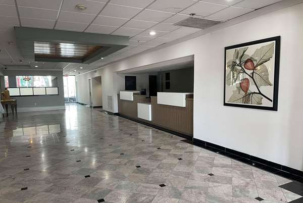  - Wingate by Wyndham Hotel NRG Park Medical Center Houston