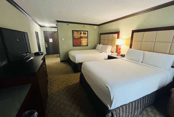  - Wingate by Wyndham Hotel NRG Park Medical Center Houston