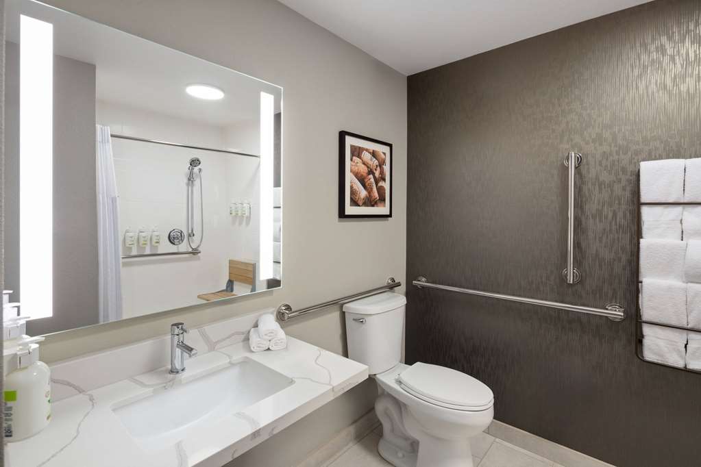 LA QUINTA BY WYNDHAM YAKIMA-guestroom-Guest Room,Bathroom,Shower,Accessibility,On-Site.jpg