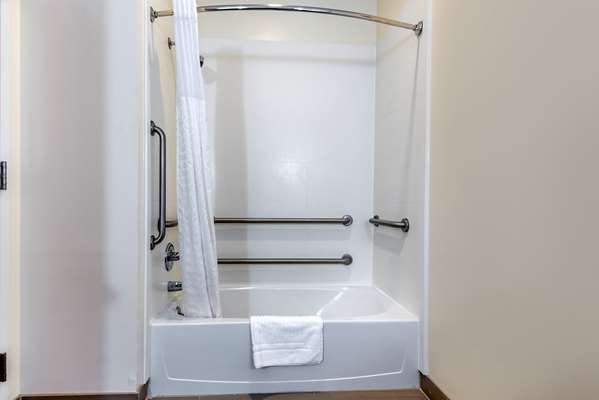  - Comfort Inn Apalachin