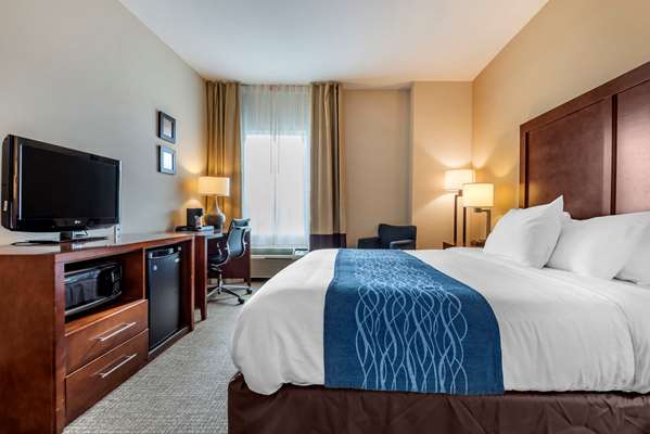  - Comfort Inn Apalachin