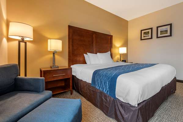  - Comfort Inn Apalachin
