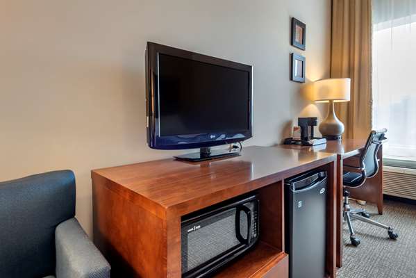  - Comfort Inn Apalachin