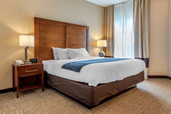  - Comfort Inn Apalachin