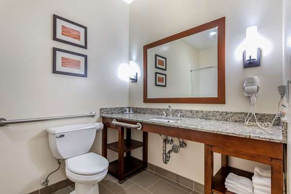  - Comfort Inn Apalachin