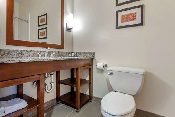  - Comfort Inn Apalachin