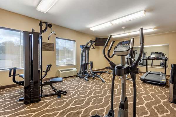 Fitness/ Exercise Room - Comfort Inn Apalachin
