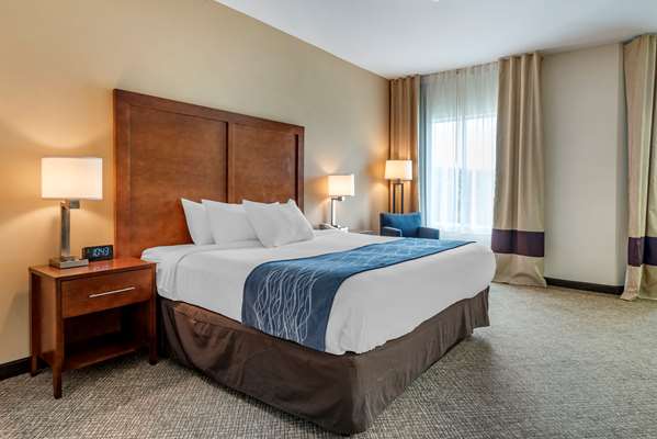  - Comfort Inn Apalachin