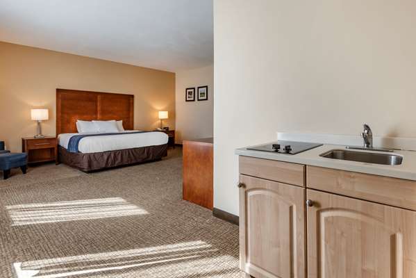  - Comfort Inn Apalachin