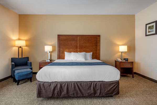  - Comfort Inn Apalachin