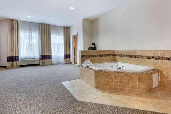  - Comfort Inn Apalachin