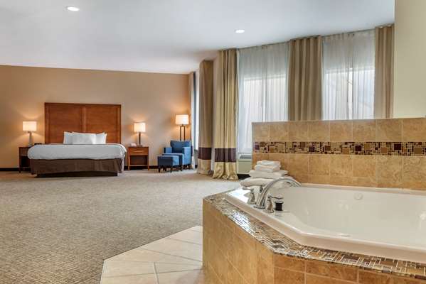  - Comfort Inn Apalachin