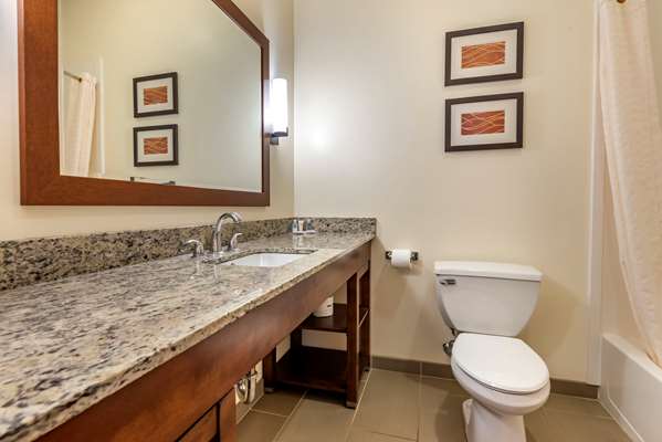  - Comfort Inn Apalachin