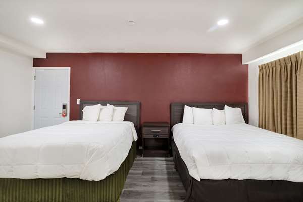  - Econo Lodge Needles - I-40, Exit 142