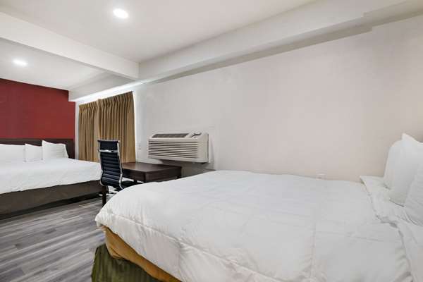  - Econo Lodge Needles - I-40, Exit 142