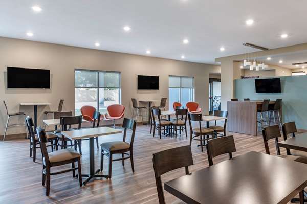 Amenities - Mainstay Suites Georgetown - I-75, Exit 129