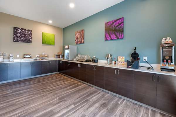 Amenities - Mainstay Suites Georgetown - I-75, Exit 129