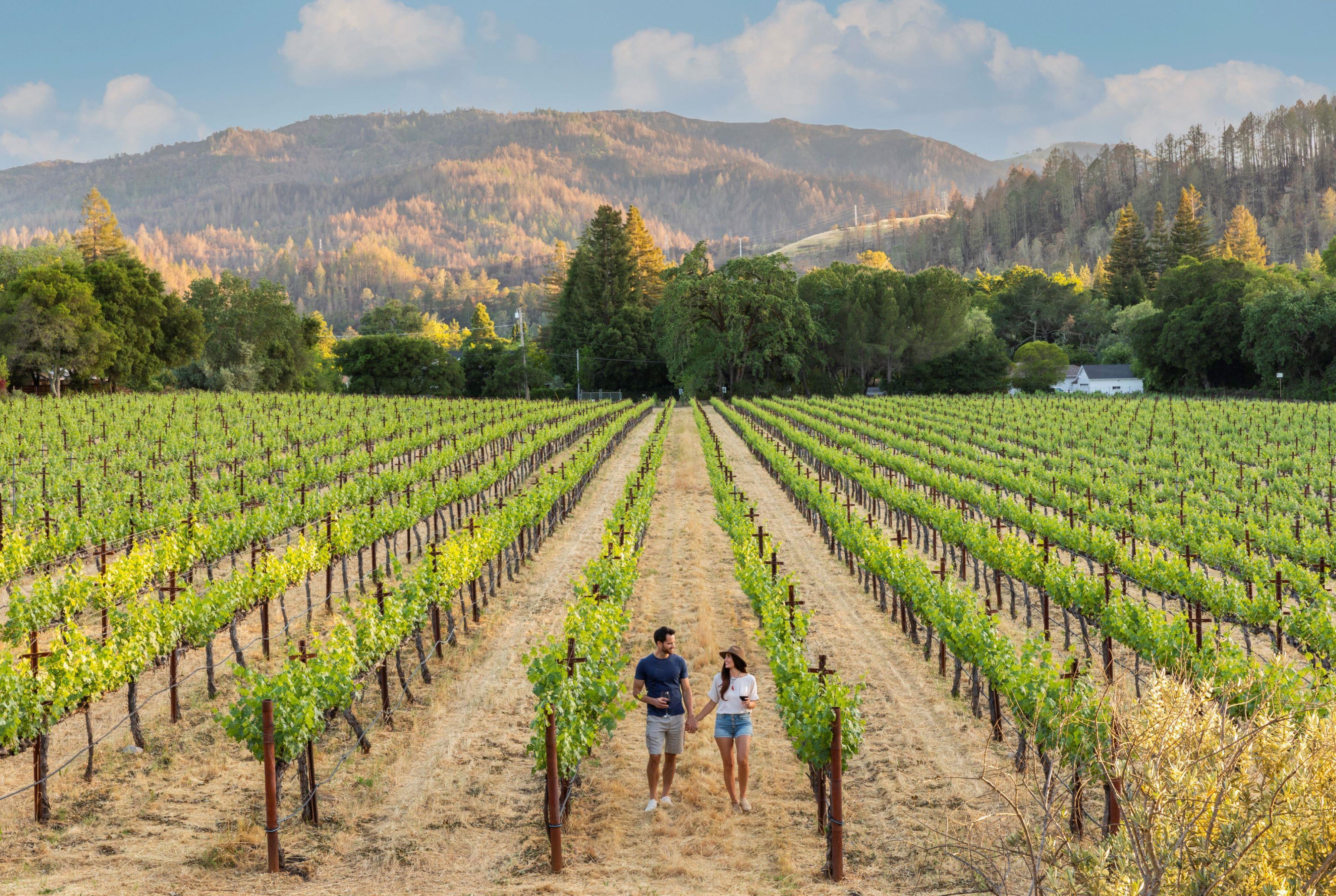 Undefined/Not Set | Alila Napa Valley