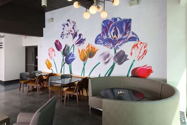 Restaurant - Tulyp Hotel Holland