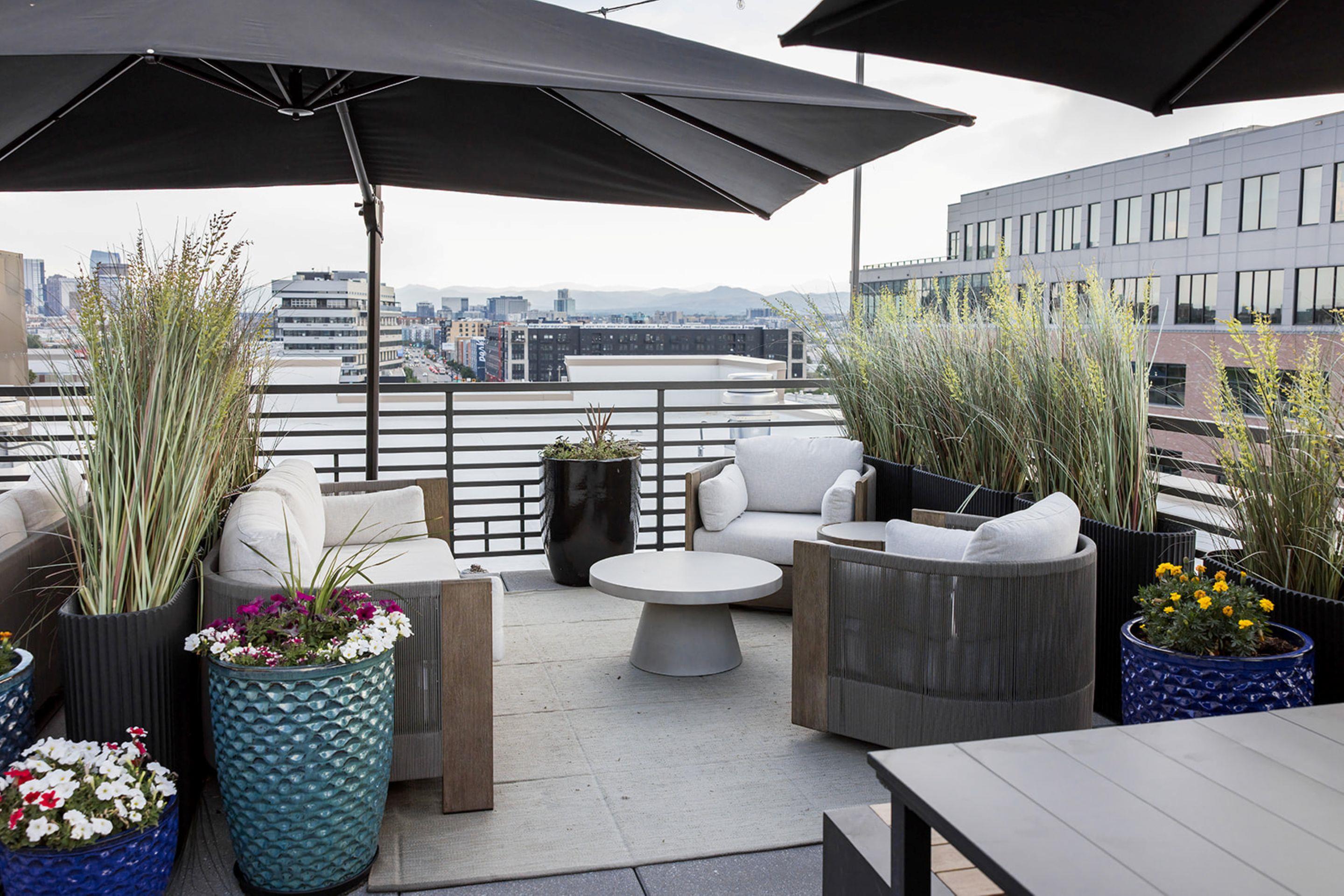 Rooftop | Vīb Hotel by Best Western Denver RiNo