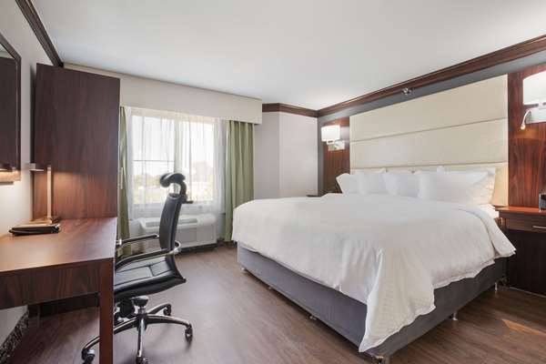 Suite - Leo Collection Hotel Lincoln Park - I-75, Exit 41