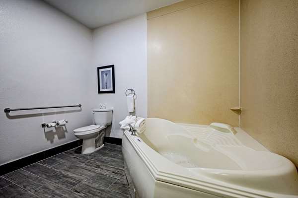  - Leo Collection Hotel Lincoln Park - I-75, Exit 41