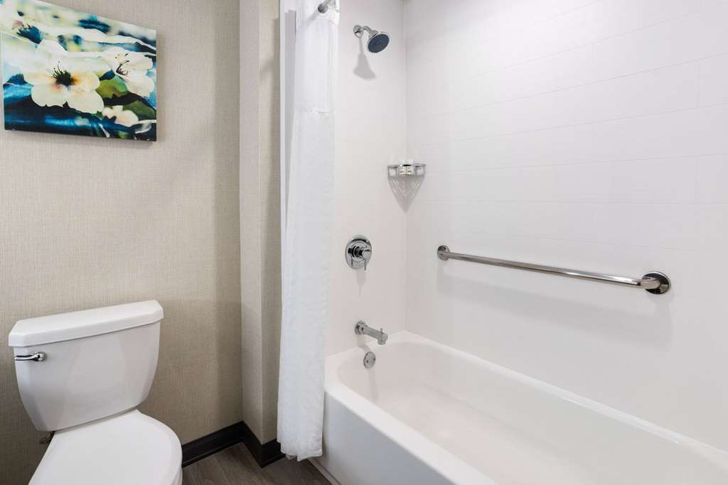 LA QUINTA INN & SUITES BY WYNDHAM L-guestroom-Guest Room,Bathroom,On-Site.jpg