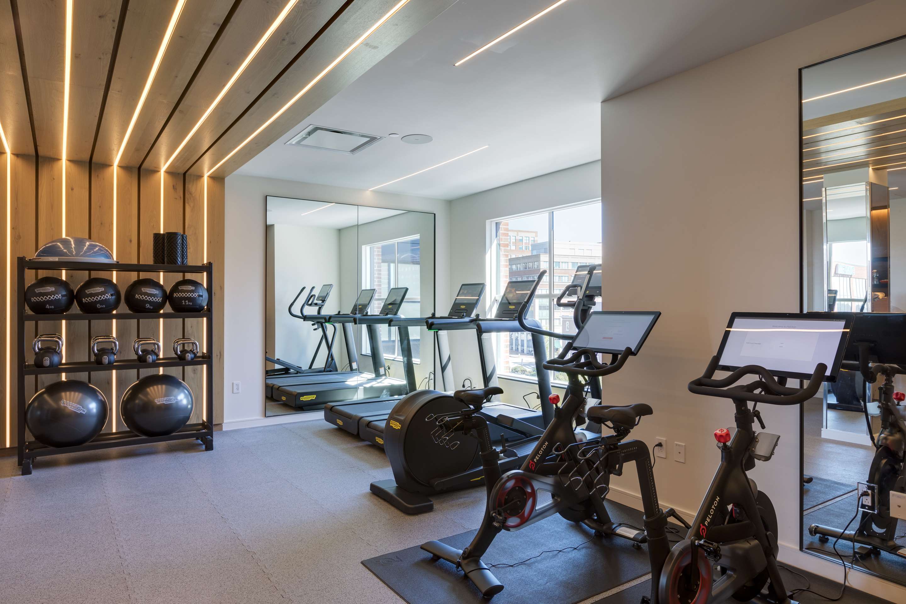Health club fitness center gym