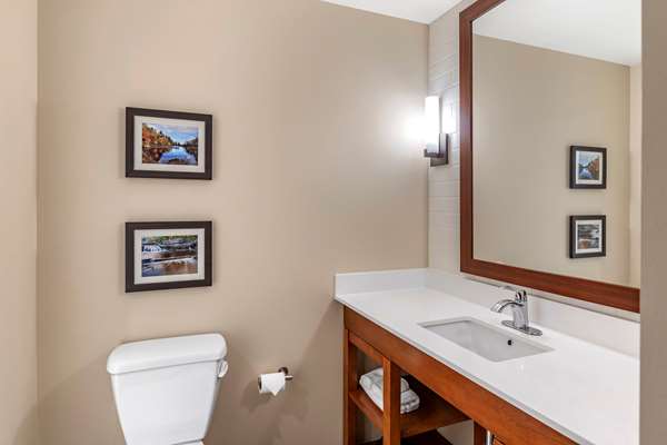 Suite - Comfort Inn & Suites Clarkston