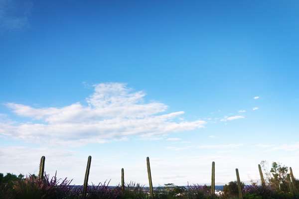 Albor San Miguel de Allende, Tapestry Collection by Hilton