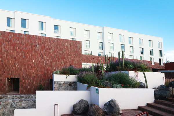 Albor San Miguel de Allende, Tapestry Collection by Hilton