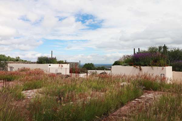 Albor San Miguel de Allende, Tapestry Collection by Hilton