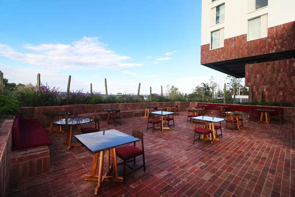 Albor San Miguel de Allende, Tapestry Collection by Hilton