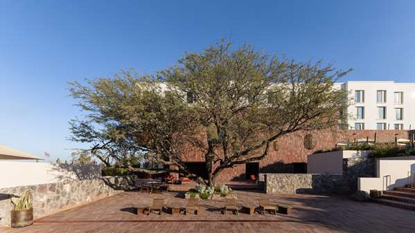 Albor San Miguel de Allende, Tapestry Collection by Hilton