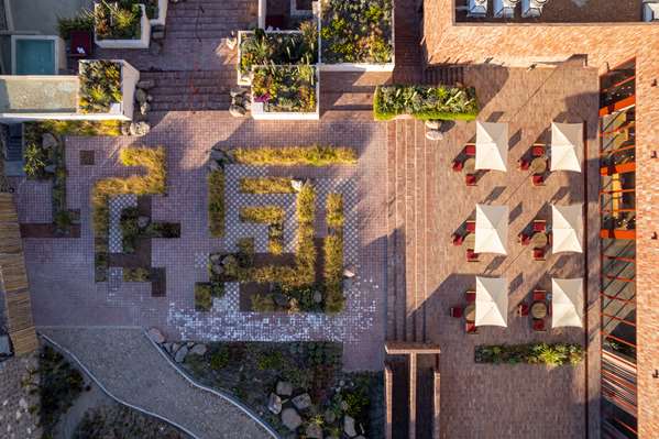 Albor San Miguel de Allende, Tapestry Collection by Hilton