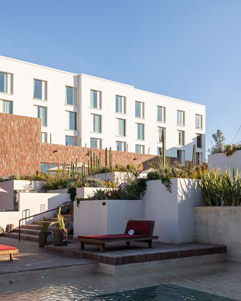 Albor San Miguel de Allende, Tapestry Collection by Hilton