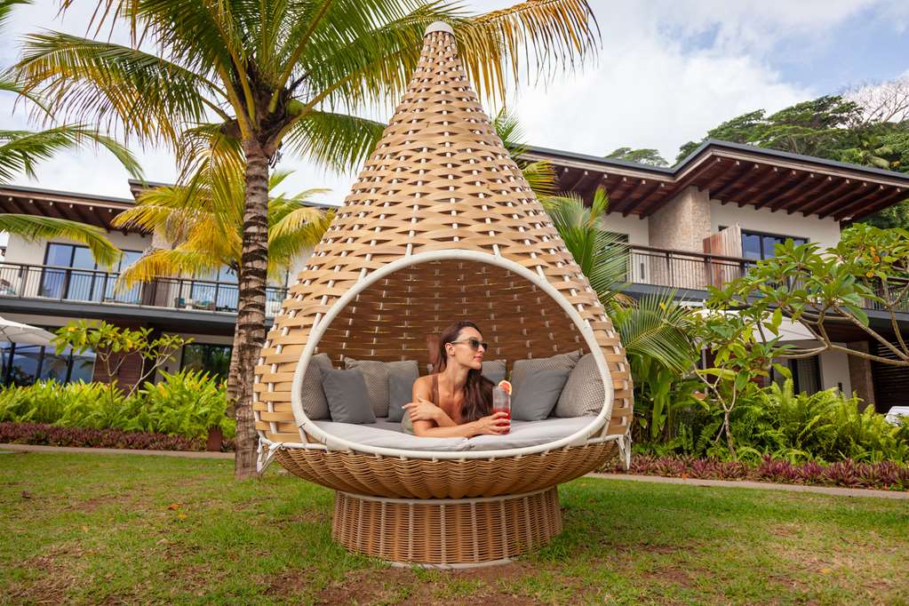 Guest photo