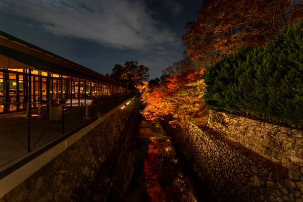 ROKU KYOTO LXR HOTELS AND RESORTS - Photo 33