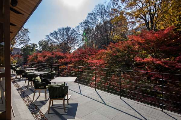 ROKU KYOTO LXR HOTELS AND RESORTS - Photo 28