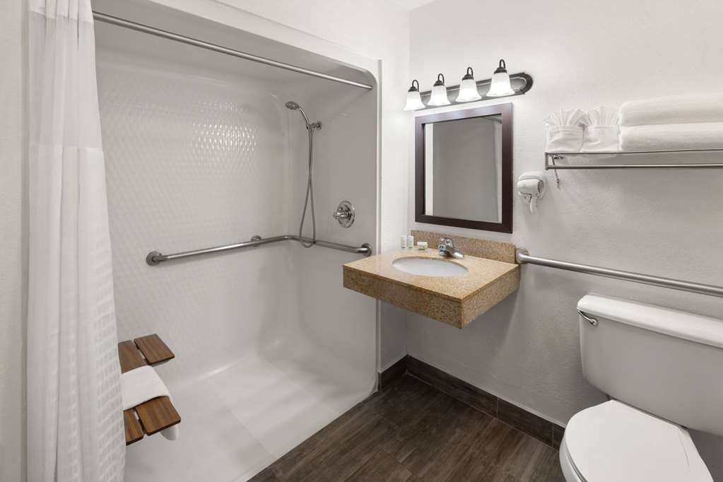 SYLO HOTEL DENVER AIRPORT, A RAMADA-guestroom-Guest Room,Bathroom,Shower,Accessibility,On-Site.jpg