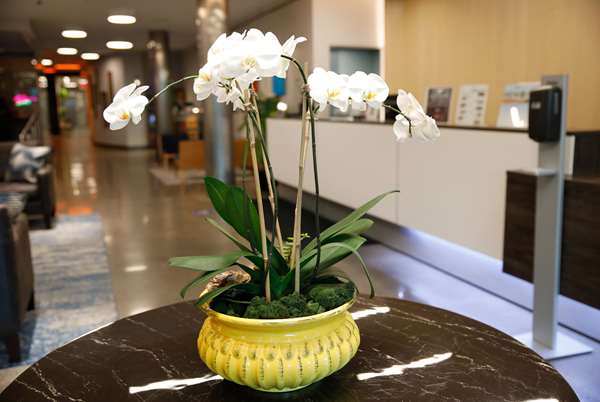  - Wingate by Wyndham Hotel Bronx Haven Park New York