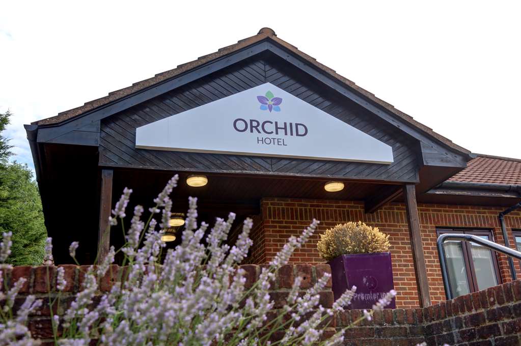 Orchid Epsom Sure Hotel Collection by BW