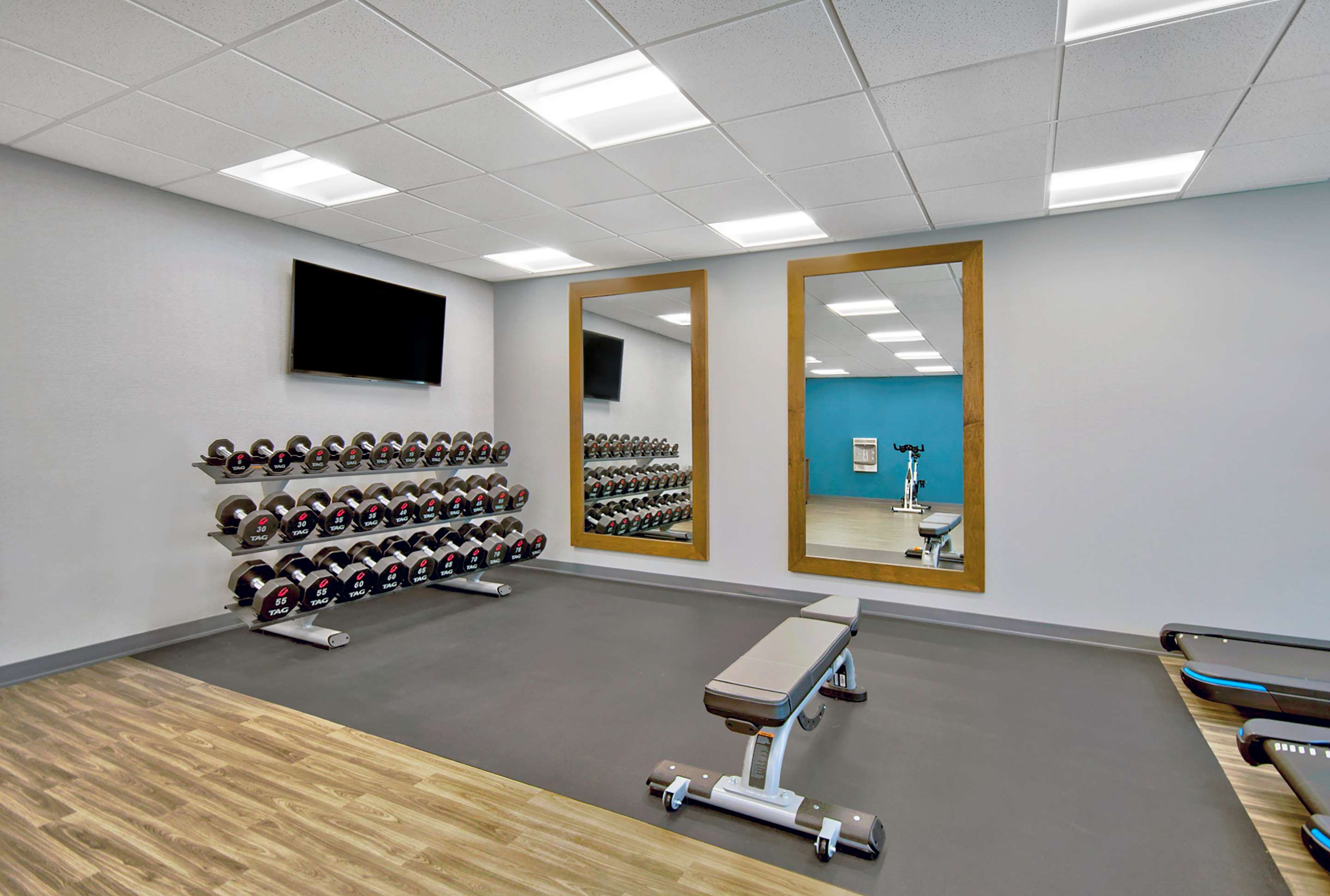 Health club fitness center gym