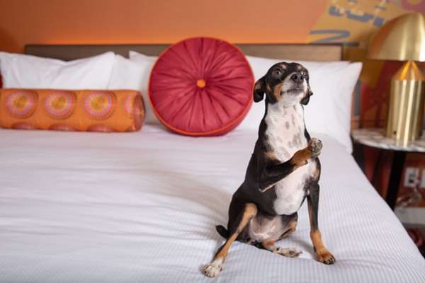  - Versante Hotel Richmond