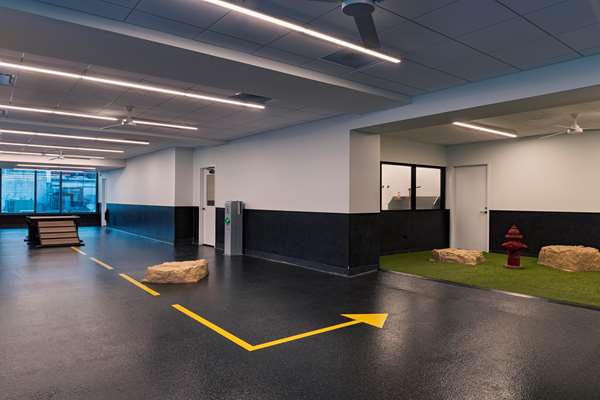 Recreation - Tommie Hotel Downtown Austin - I-35, Exit 234B