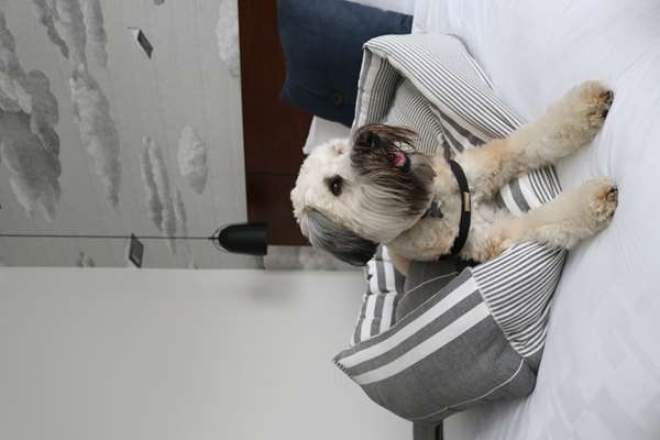  - Walper Hotel Kitchener