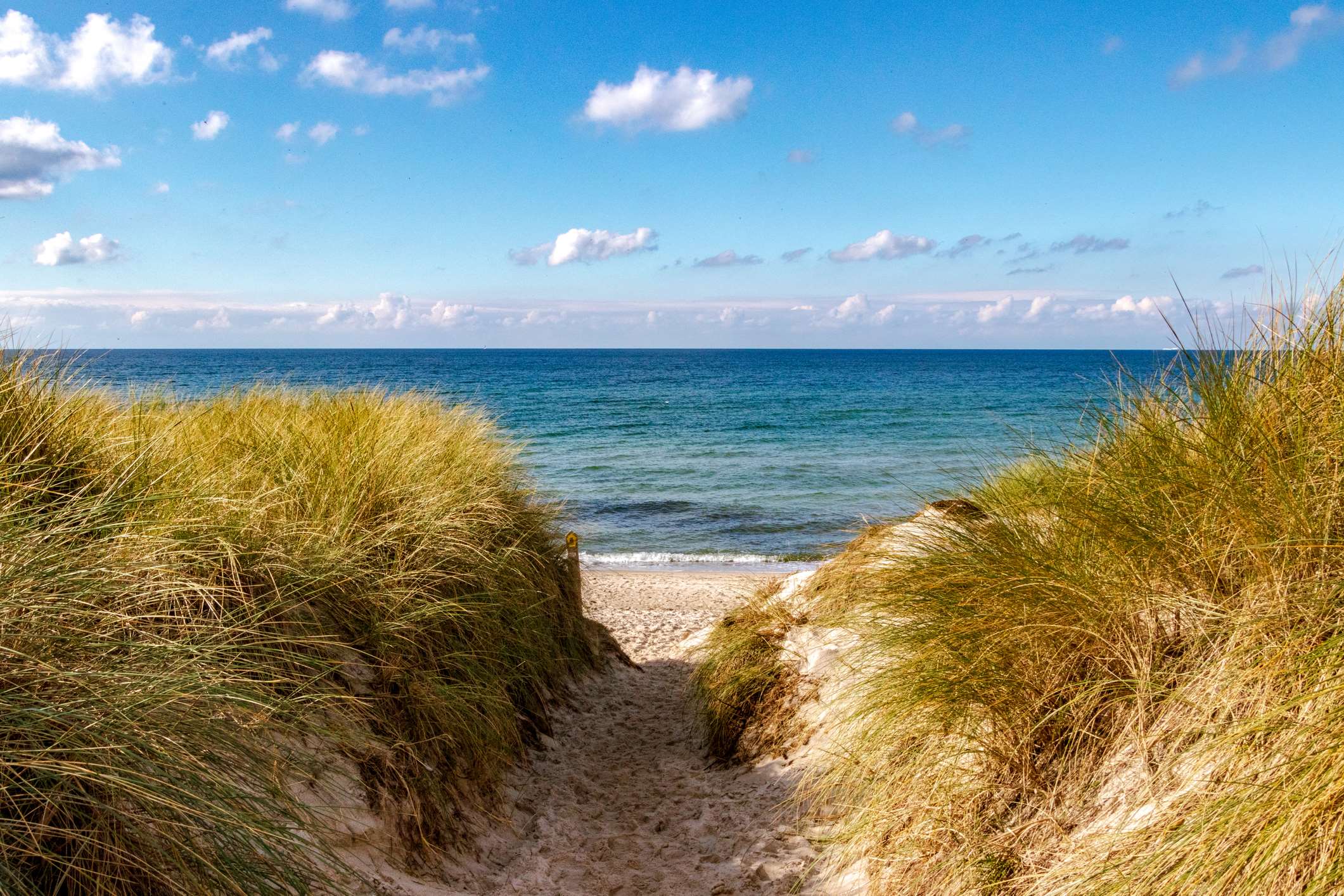 beach | Sanderling Resort Residences